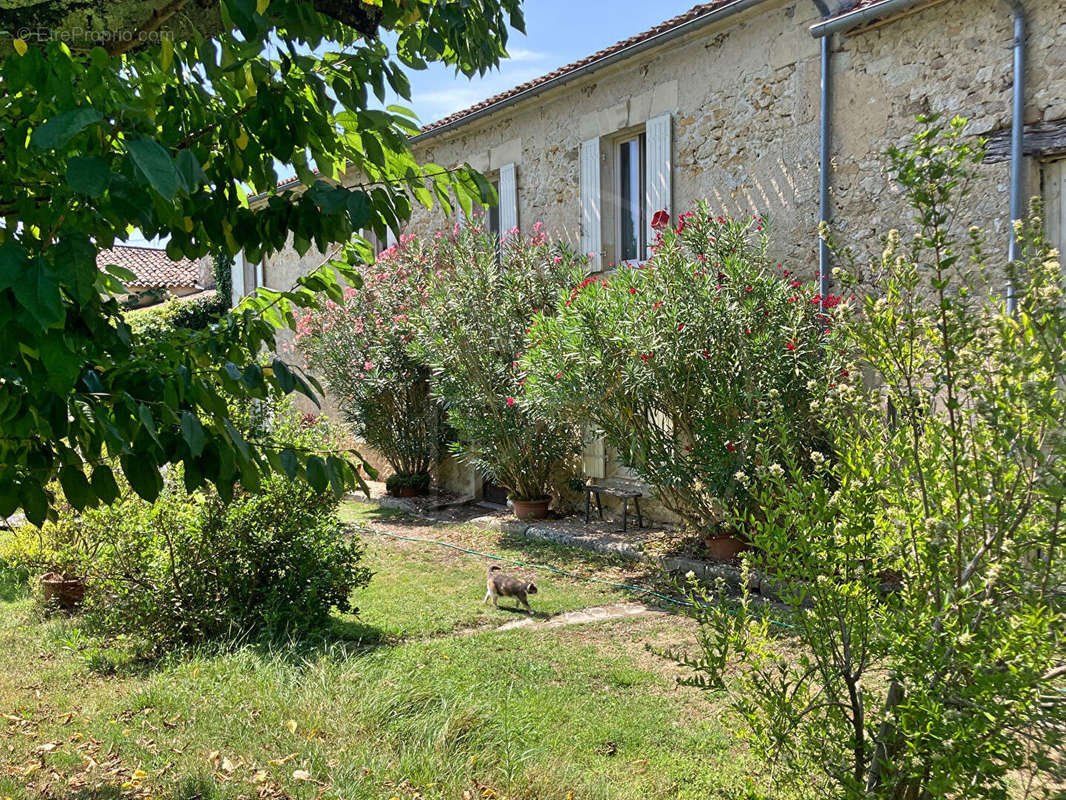 Maison à PELLEGRUE