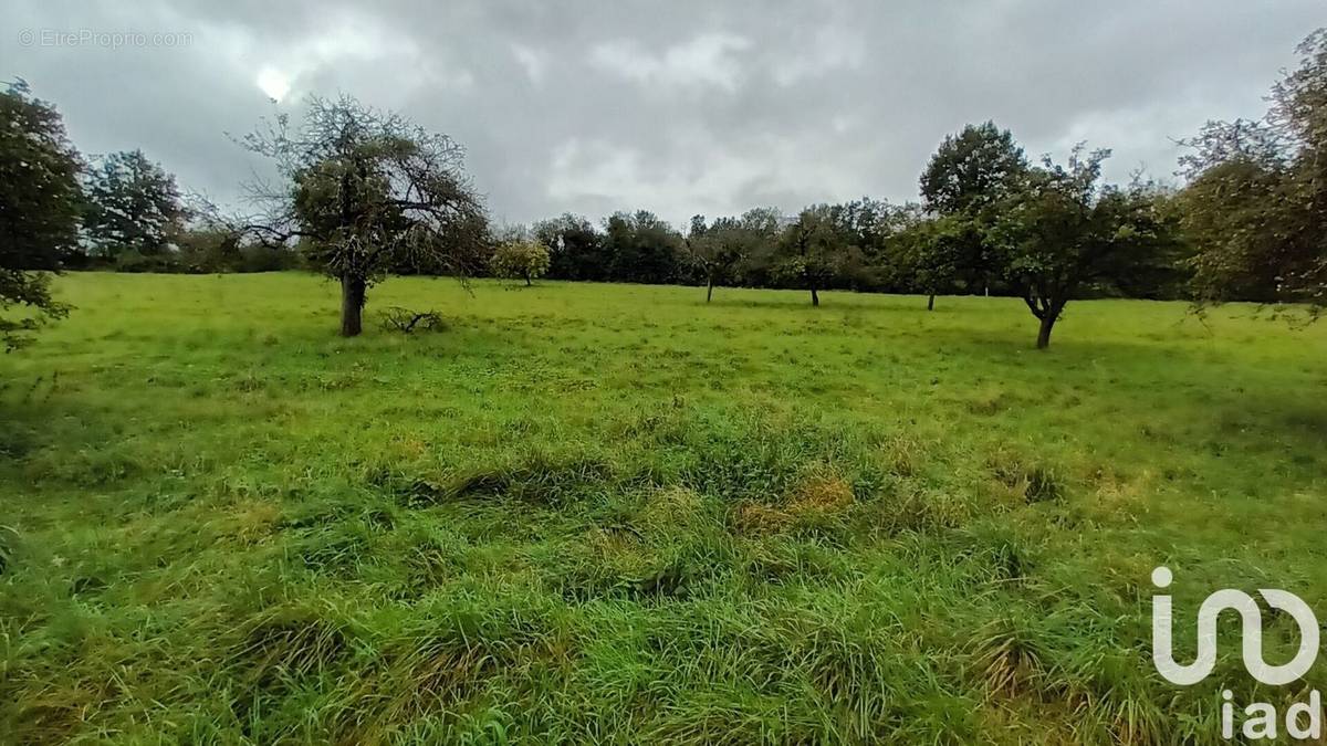 Photo 1 - Terrain à SAINT-CYR-SUR-MORIN