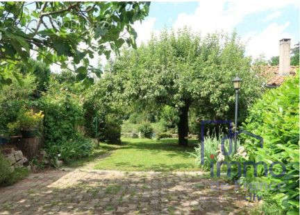 TERRASSE ET JARDIN - Maison à LE CHAMBON-FEUGEROLLES