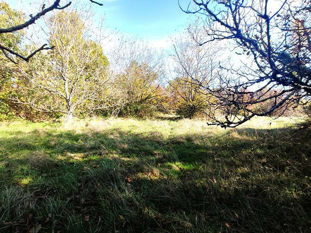 Terrain à MONCLAR-DE-QUERCY