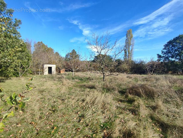 Terrain à MONCLAR-DE-QUERCY