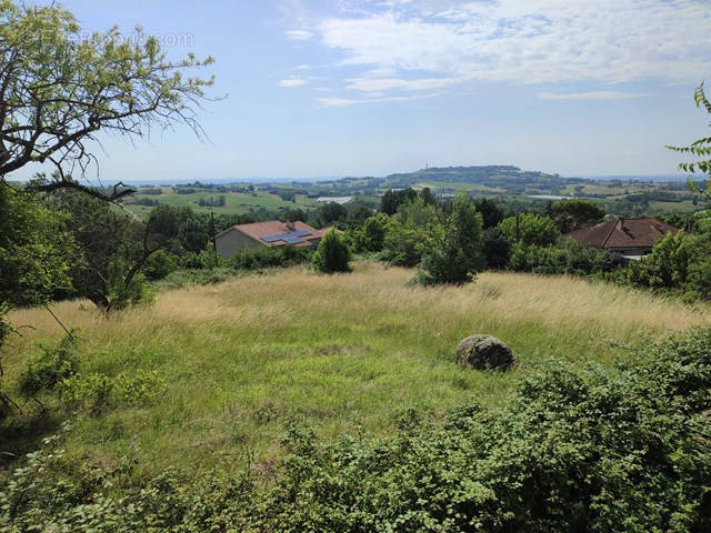 Terrain à CAUSSADE