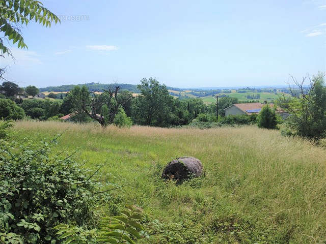 Terrain à CAUSSADE