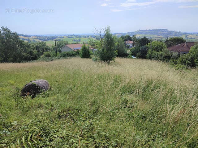 Terrain à CAUSSADE