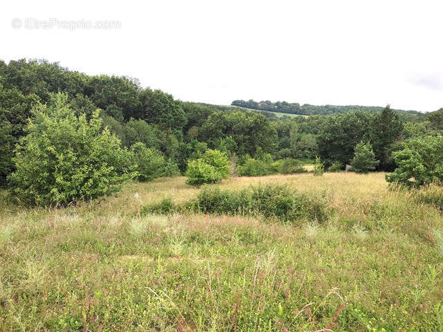 Terrain à MONCLAR-DE-QUERCY