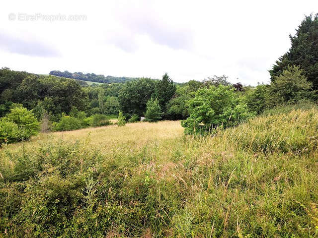 Terrain à MONCLAR-DE-QUERCY