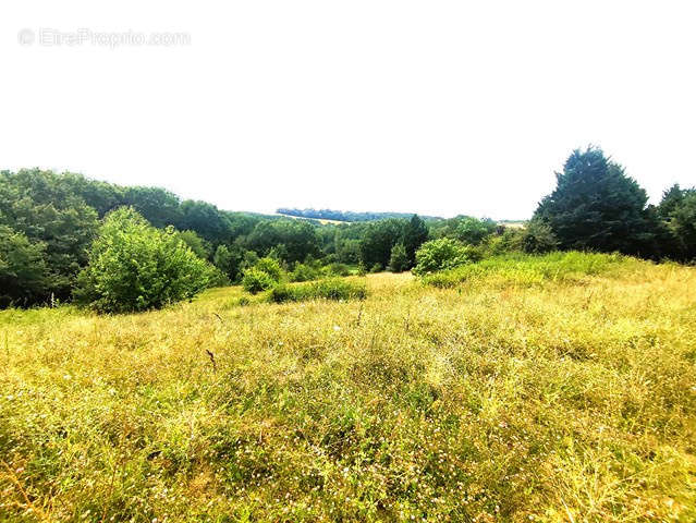 Terrain à MONCLAR-DE-QUERCY