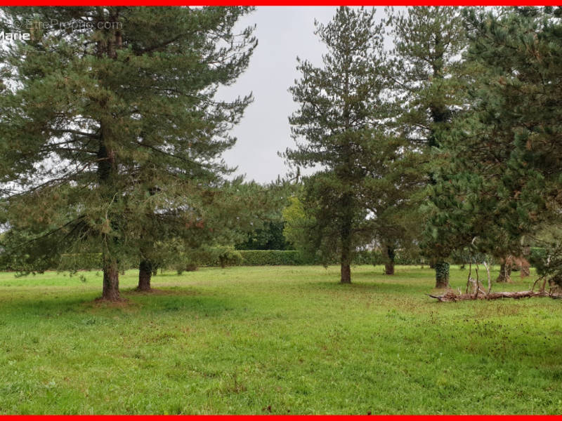 Terrain à GUEMENE-PENFAO