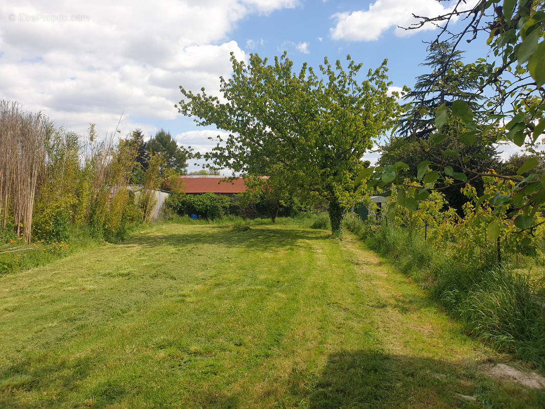 Terrain à COGNAC