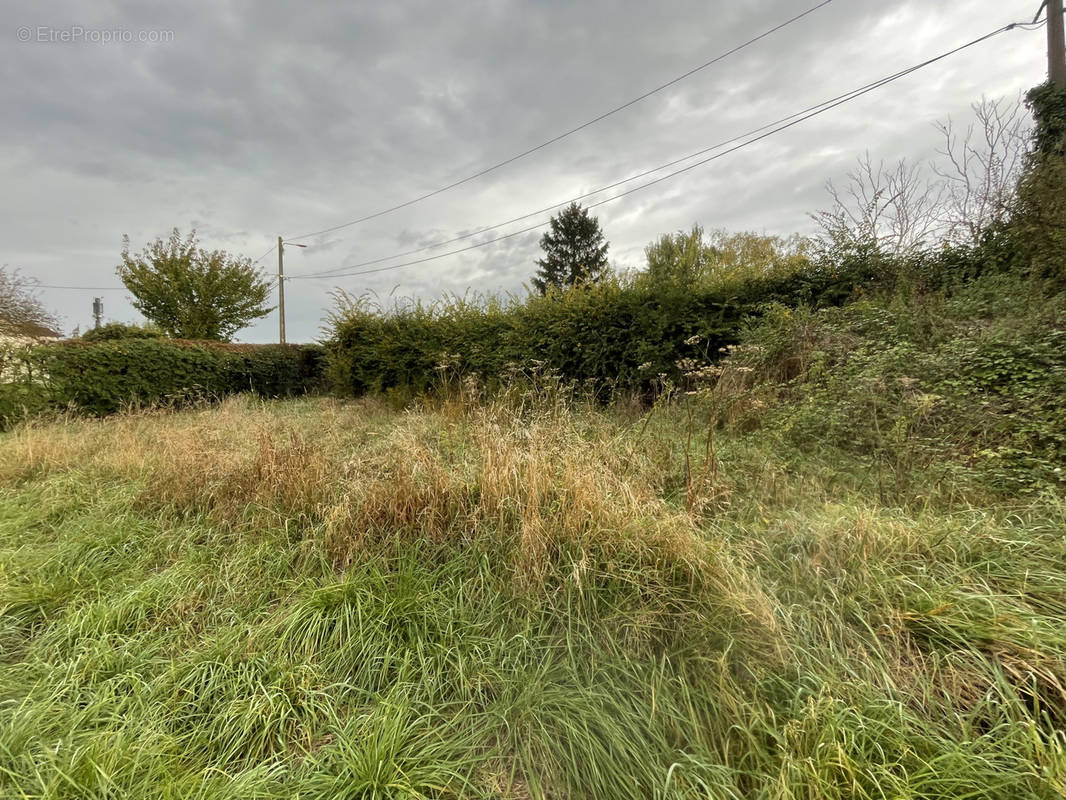 Terrain à LE MANS