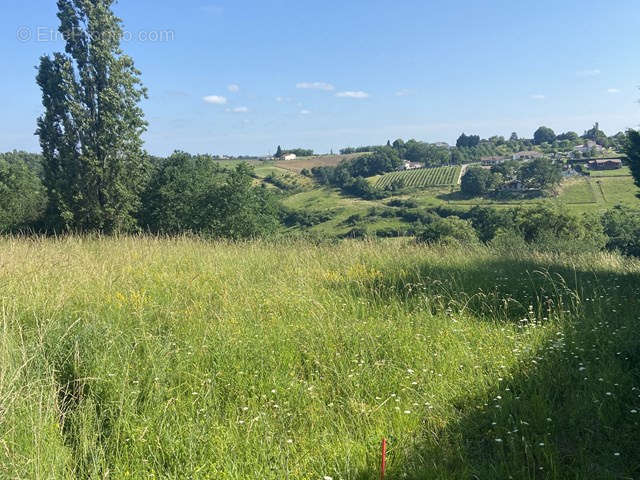 Terrain à MOISSAC