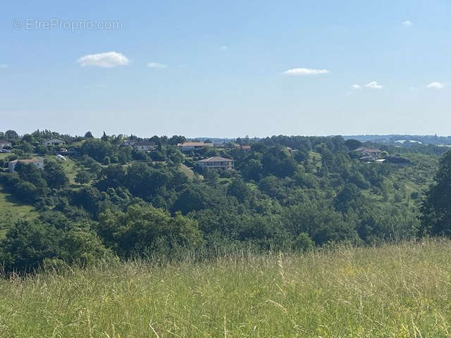 Terrain à MOISSAC