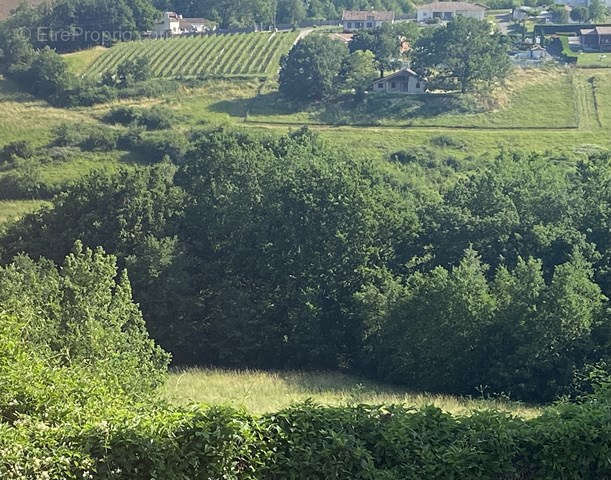 Terrain à MOISSAC