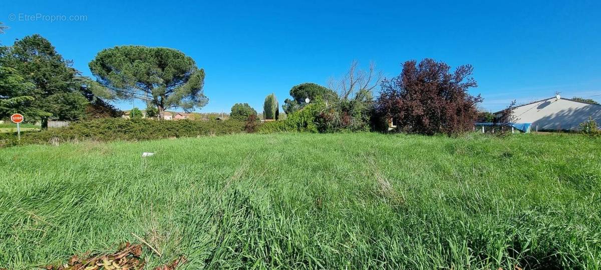 Terrain à SERIGNAC-SUR-GARONNE