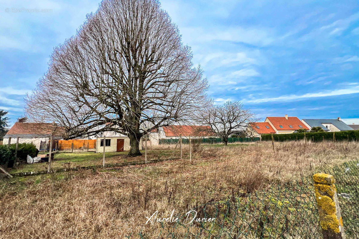 Terrain à SORIGNY