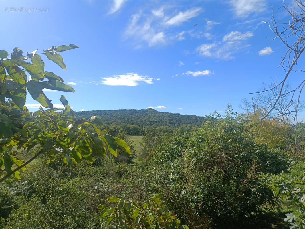 Autre à BEAUFORT-SUR-GERVANNE