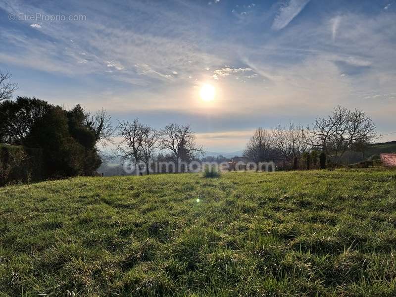 Terrain à SAINT-PALAIS