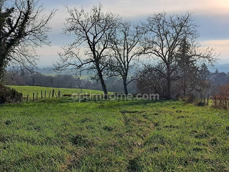 Terrain à SAINT-PALAIS