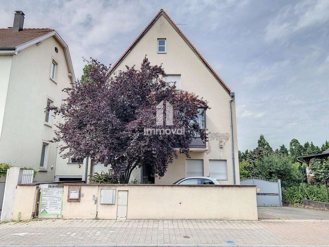 Appartement à ECKBOLSHEIM