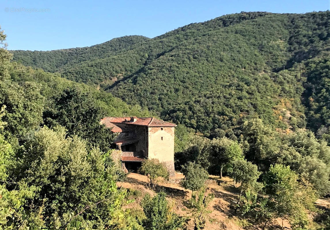 Maison à SAINT-ROMAN-DE-CODIERES