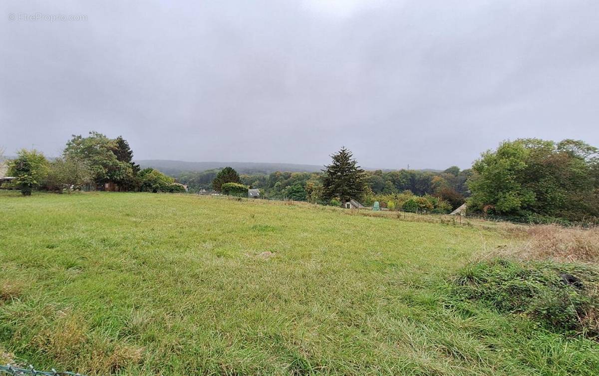 Terrain à VILLERS-COTTERETS