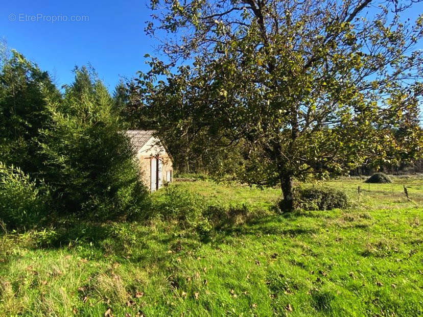 Maison à SARLANDE