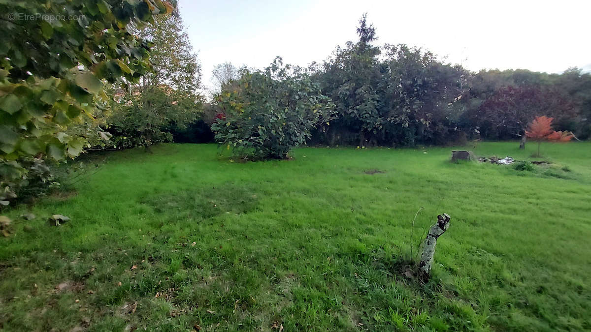 Terrain à CINTEGABELLE