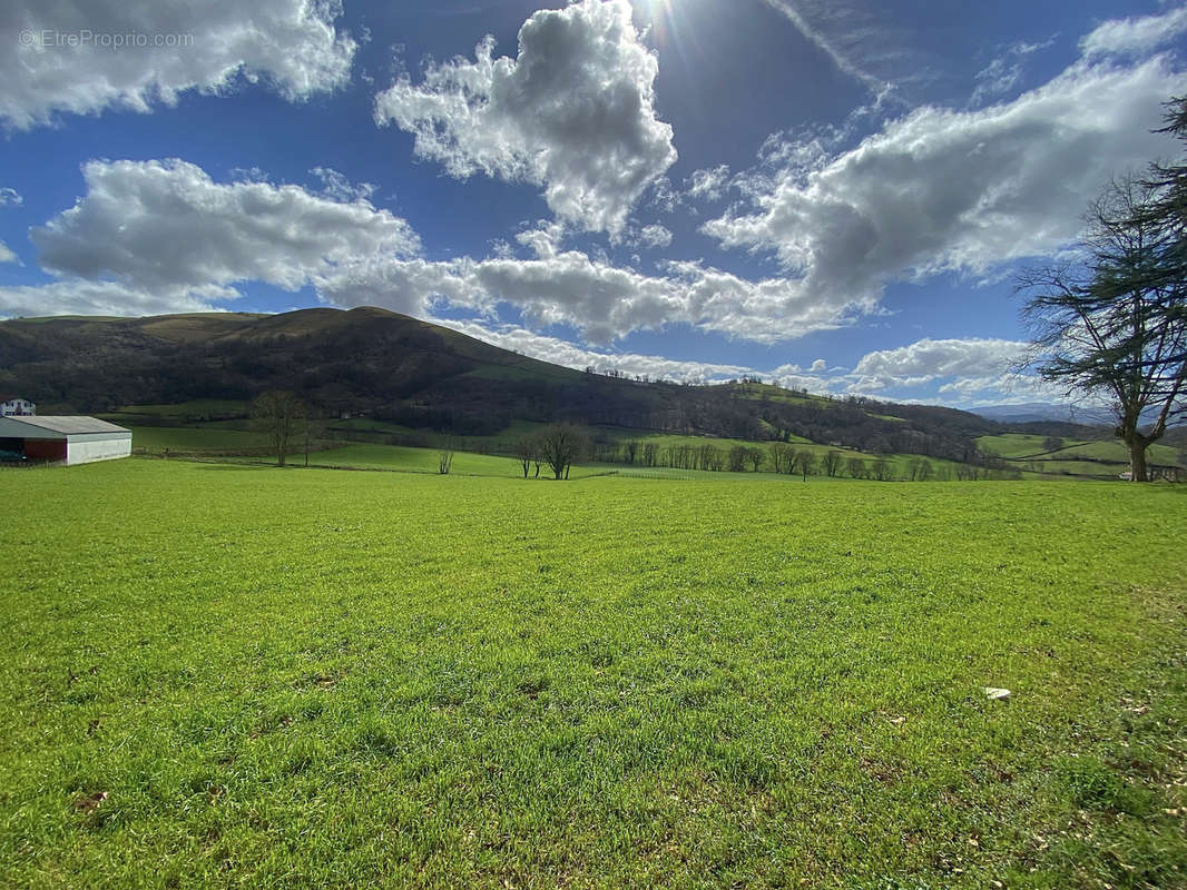 Terrain à SAINT-JEAN-PIED-DE-PORT