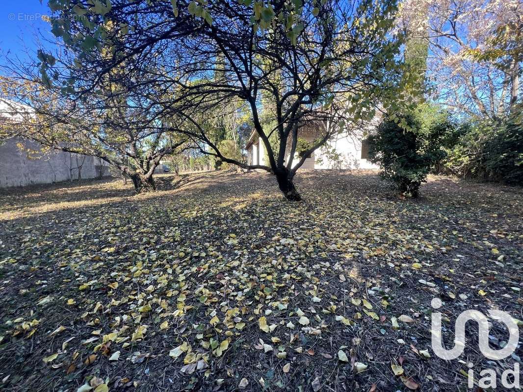 Photo 8 - Maison à MAUSSANE-LES-ALPILLES