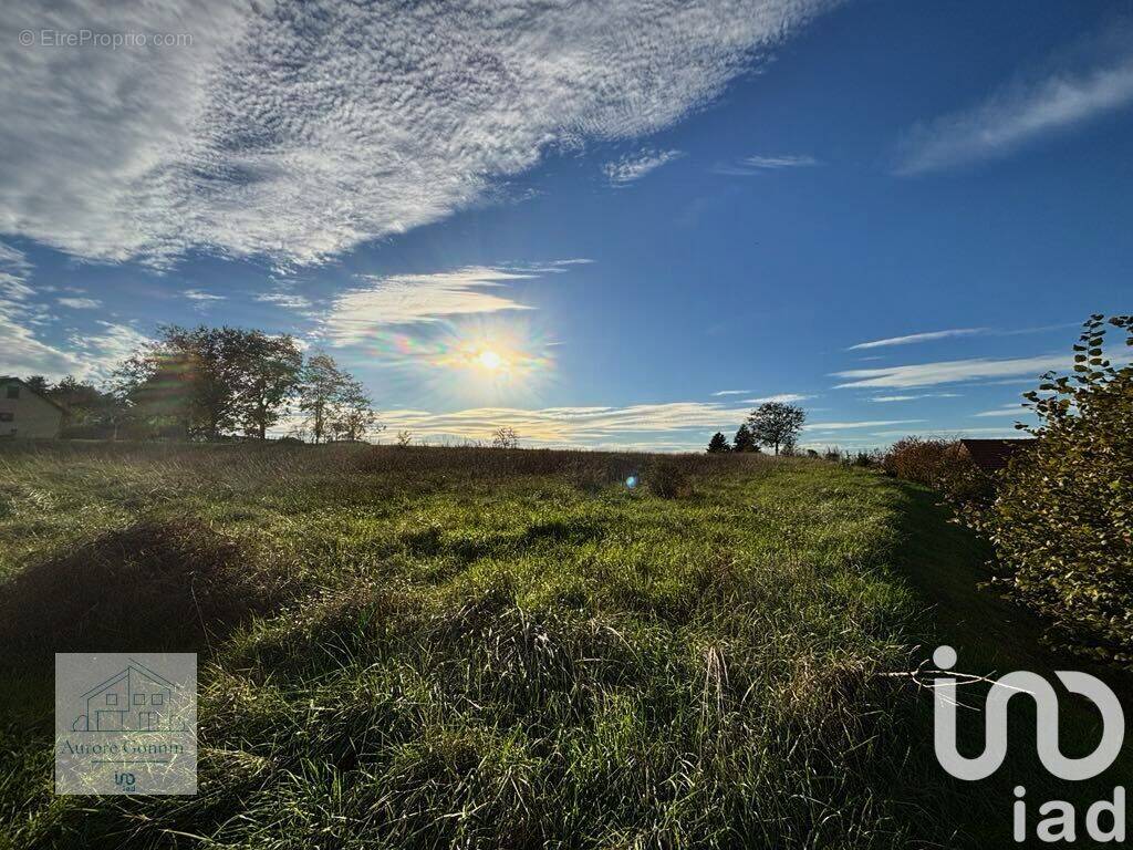 Photo 1 - Terrain à LIVRY