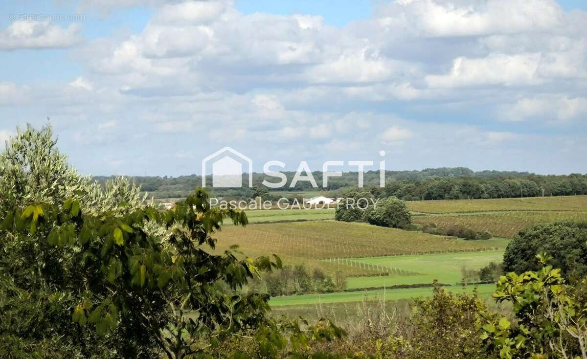 Photo 4 - Maison à SAINT-BONNET-SUR-GIRONDE