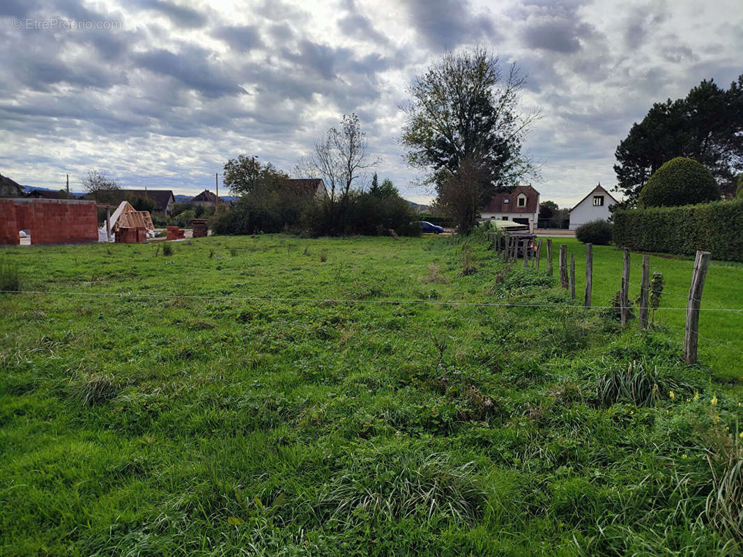 Terrain à TOURMONT