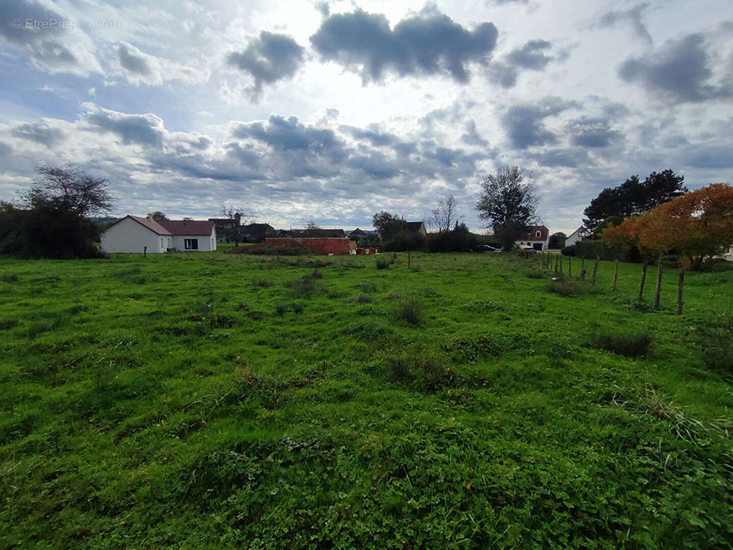 Terrain à TOURMONT