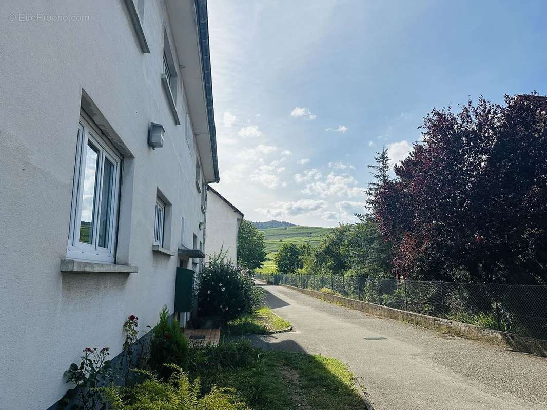 Appartement à WINTZENHEIM