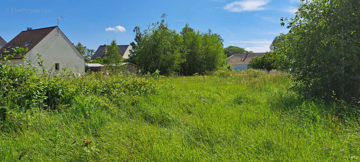 Terrain à NEUVILLE-AUX-BOIS