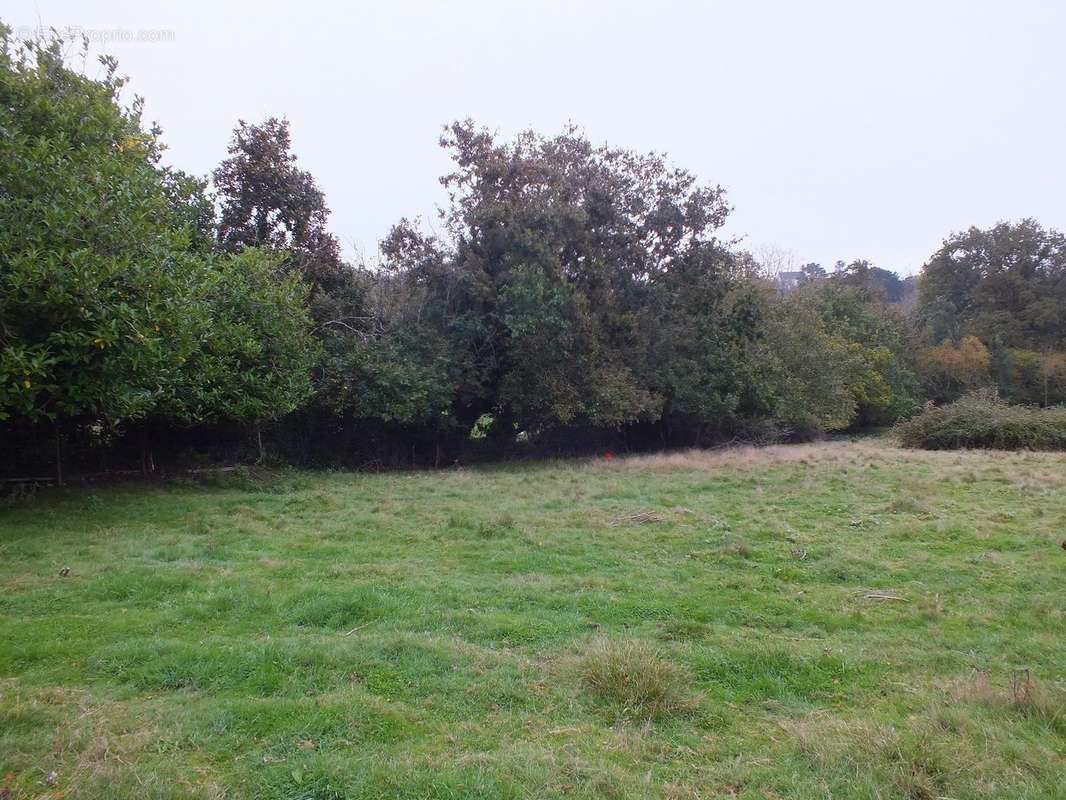 Terrain à LOGONNA-DAOULAS