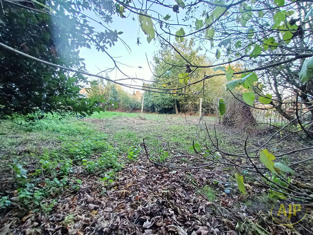 Terrain à LANTILLAC