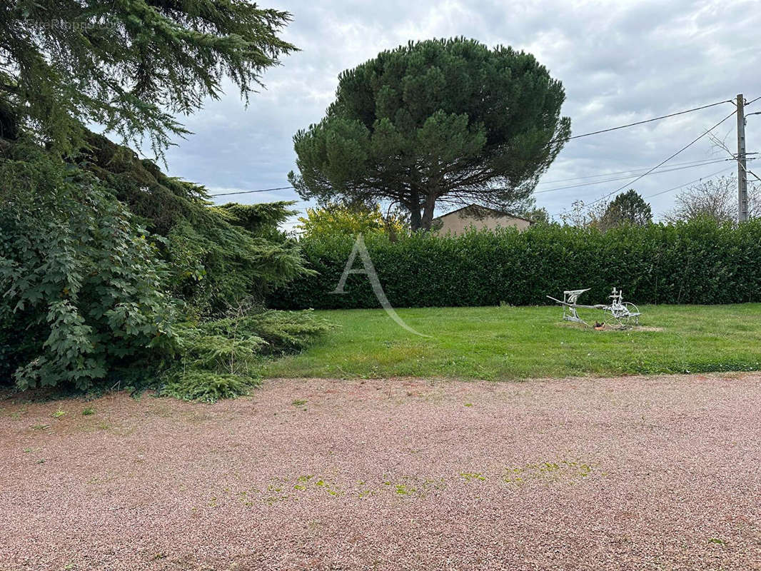 Terrain à BESSIERES