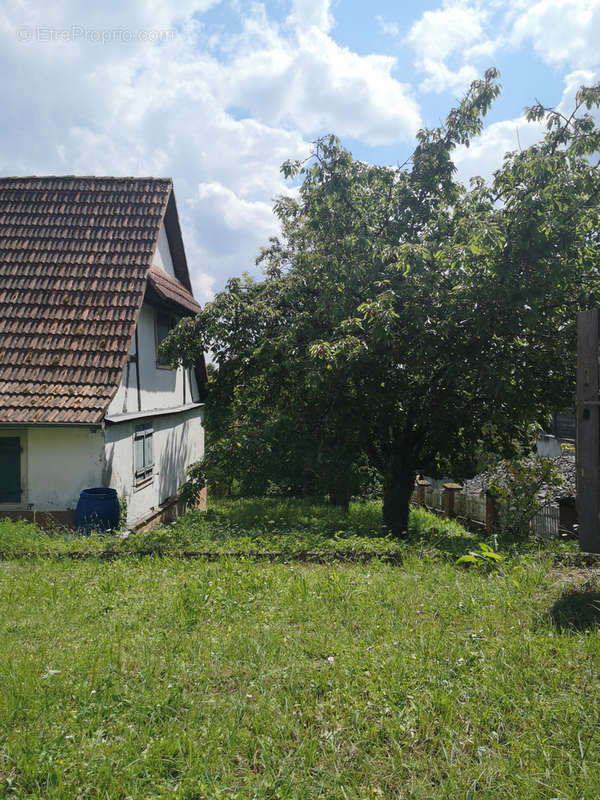 Maison à SURBOURG