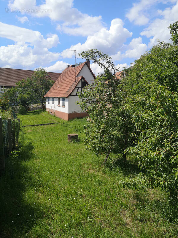 Maison à SURBOURG