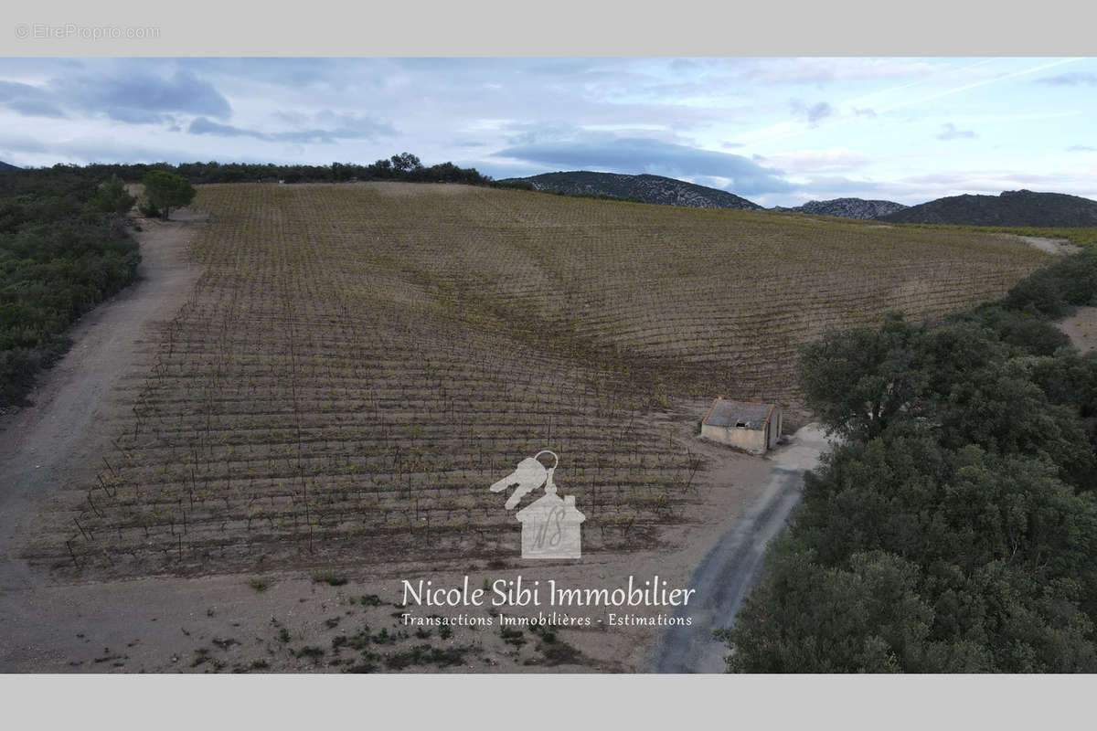 Terrain à RASIGUERES