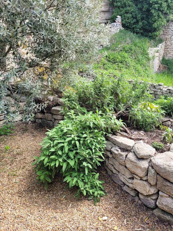 Maison à SAIGNON