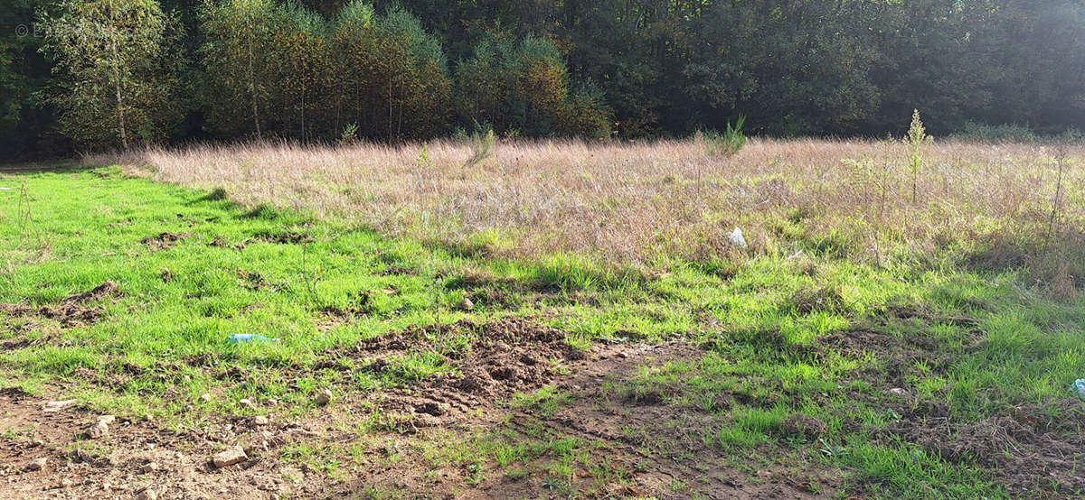 Terrain à COUZEIX