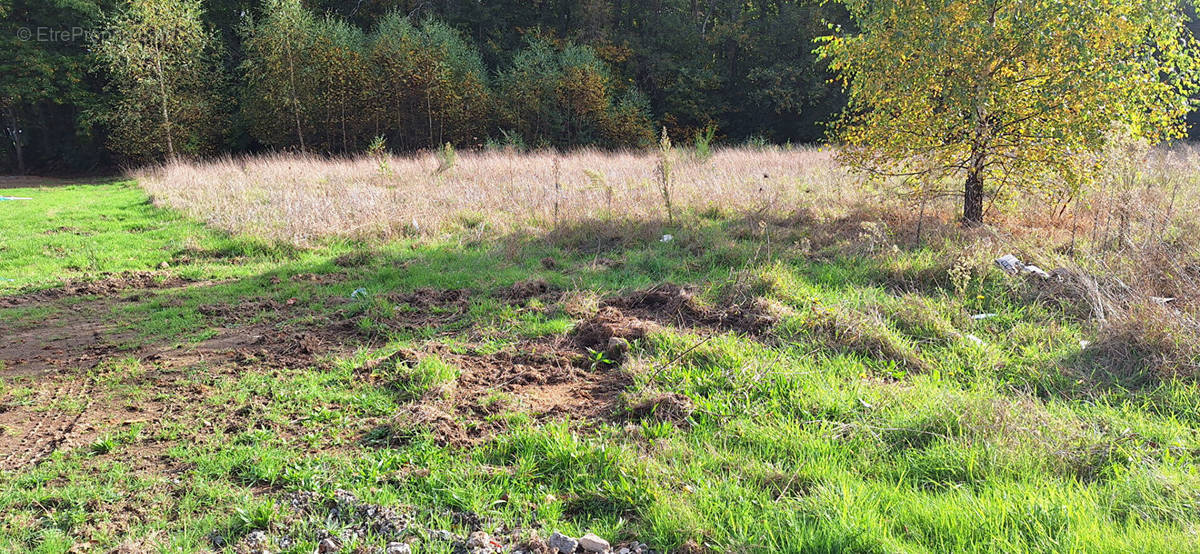 Terrain à COUZEIX