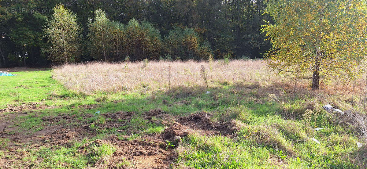 Terrain à COUZEIX