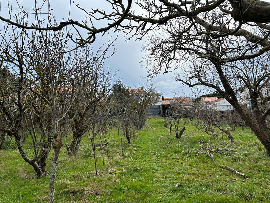 Terrain à LA GUERINIERE