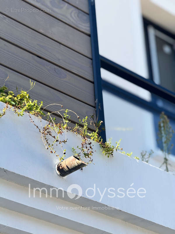 Appartement à LE PERREUX-SUR-MARNE