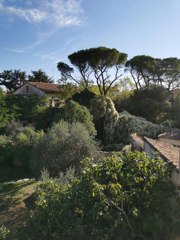 Maison à SAINT-MAXIMIN-LA-SAINTE-BAUME