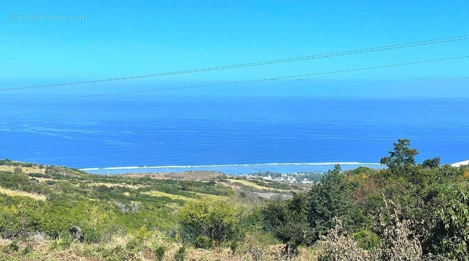 Terrain à LE PORT