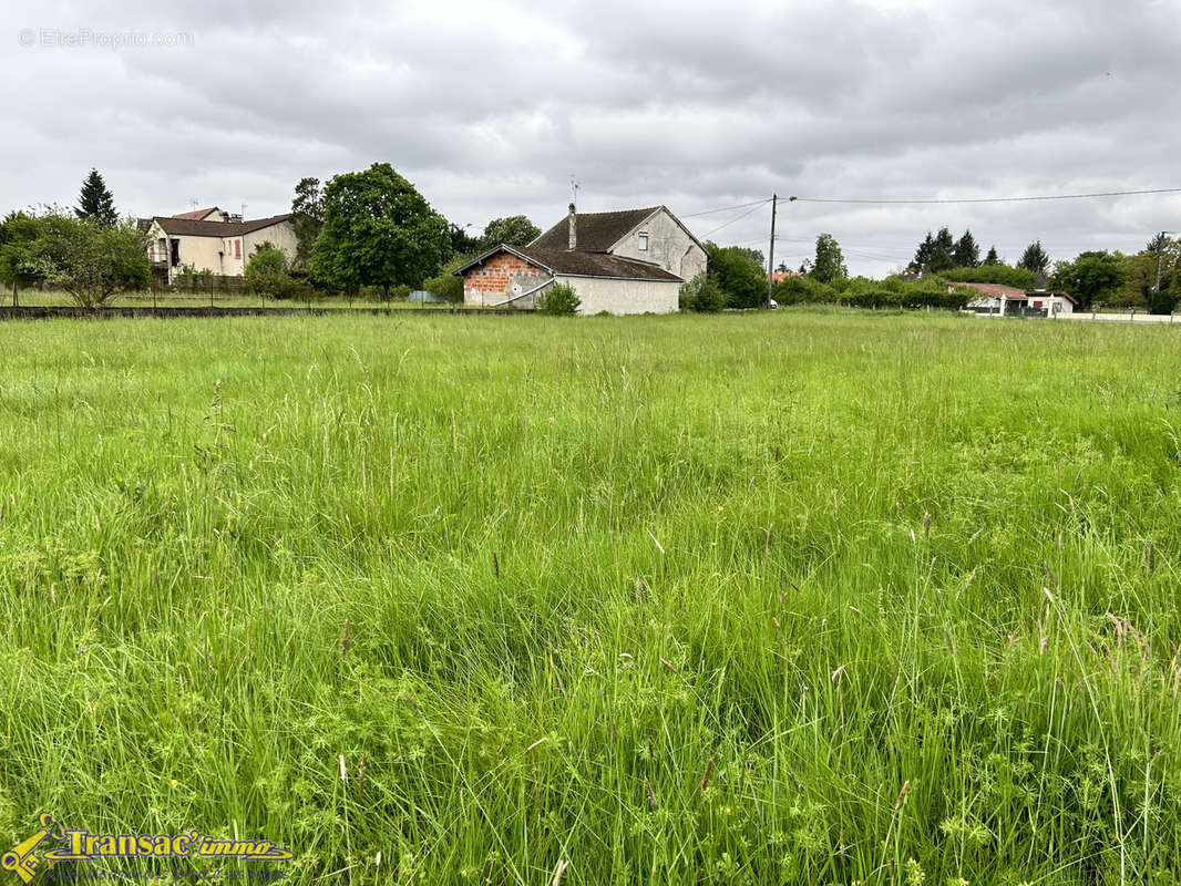 Terrain à RIS